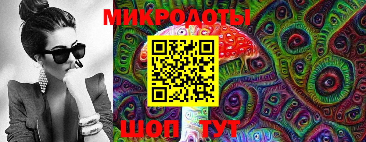 Псилоцибиновые грибы Cubensis  Вход с VPN  Черкесск 